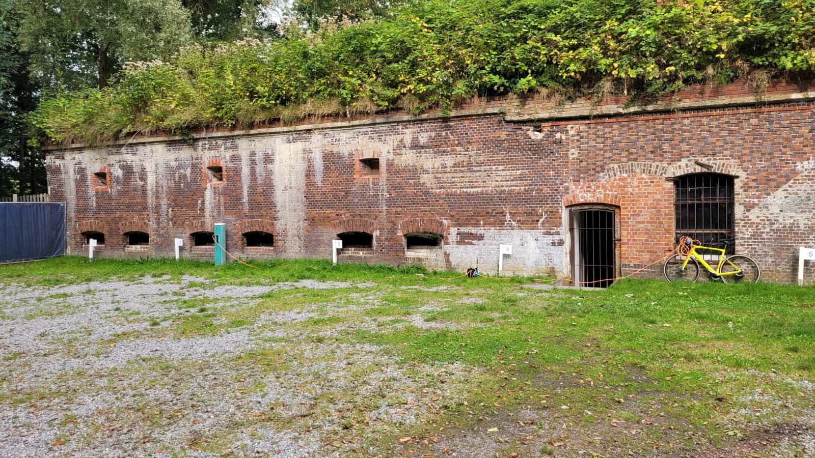 Großes Bild 10